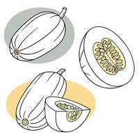 Collection set of Spaghetti squash, In different perspectives vector