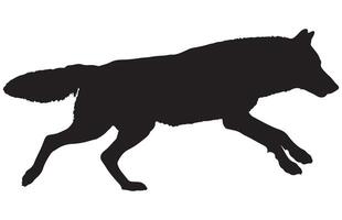 silhouette of a running wolf. vector