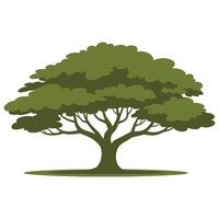 Flat Green Oak Tree Illustration on White Background. vector