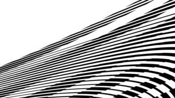 abstract black and white lines on a white background vector
