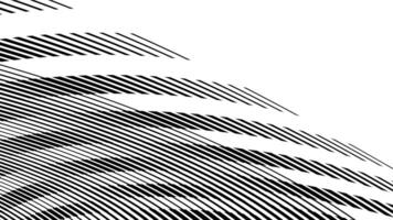 black and white abstract wave pattern vector