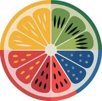 Fruit slices in a circle with different colors vector
