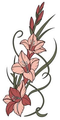 close-up the flowers of the Gladiolus flower arranged beautifully and decorated with vines