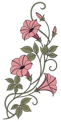 close-up the flowers of the Impatiens flower arranged beautifully and decorated with vines