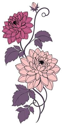 close-up the flowers of the Dahlia arranged beautifully, decorated with vines, suitable as an illustration background for a poster