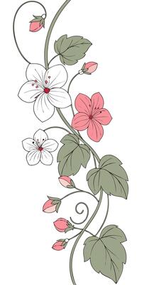 a romantic florals background with delicate Begonia flowers, blossoms, and vines