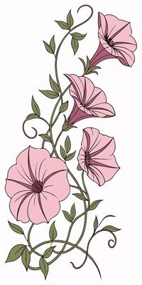 close-up the flowers of the Petunia flower arranged beautifully and decorated with vines