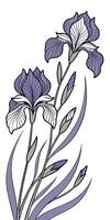 close-up the flowers of the Iris arranged beautifully and decorated with vines vector