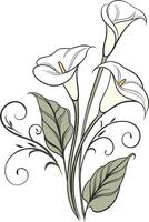 close-up the flowers of the Calla Lily flower arranged beautifully and decorated with vines vector