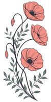 close-up the flowers of the Poppy arranged beautifully, decorated with vines, suitable as an illustration background for a poster vector