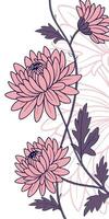 close-up the flowers of the Chrysanthemum arranged beautifully, decorated with vines, suitable as an illustration background for a poster vector