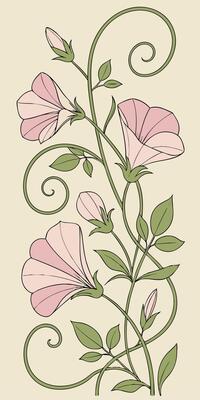 close-up the flowers of the Sweet Pea flower arranged beautifully and decorated with vines
