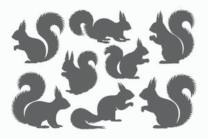 Collection of squirrel silhouettes in various poses vector