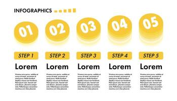 Infographic template with 5 step column trendy style vector