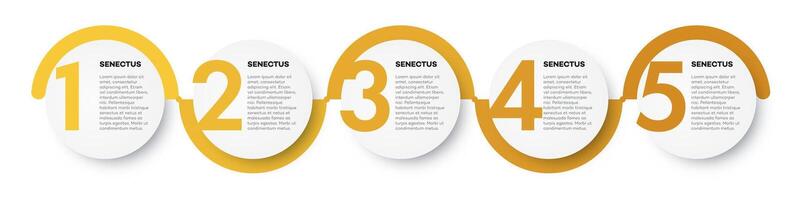 Infographic template timeline process 5 option for design vector