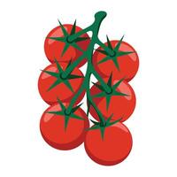 Tomatoes on a branch illustration vector
