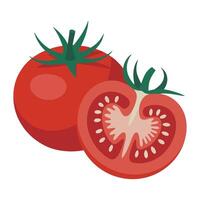 Flat Whole and Sliced Tomato Design. vector