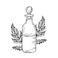 Glass potion bottle with cork and foliage. Hand painted linear wizard halloween illustration. Graphic magic monochrome sketch isolated on background. For designers, prints, logo, icon, menu vector