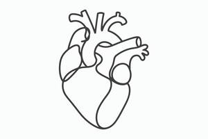 Simple line drawing of a human heart anatomy vector