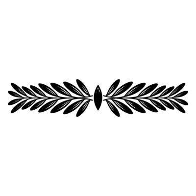Elegant Black Olive Branch Border on White Background Illustration