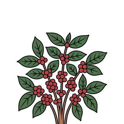 A tree with berries and leaves on it