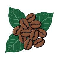 Coffee beans with leaves illustration vector