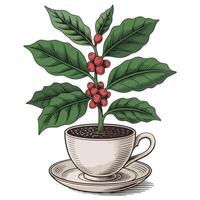 Coffee plant in a cup with leaves and berries vector
