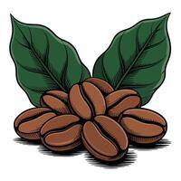 Coffee beans with leaves and leaves illustration vector