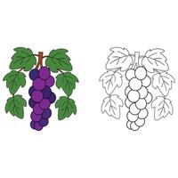 Grapes with Leaves Bold and Easy Coloring Page for Kids and Adults vector
