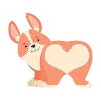 Welsh Corgi with Short Legs and Brown Coat Showing Bottom Illustration vector