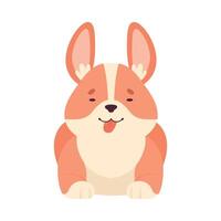 Welsh Corgi with Short Legs and Brown Coat in Sitting Pose Illustration vector