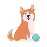 Short-legged Welsh Corgi with Brown Coat Putting Paw on Ball Illustration vector