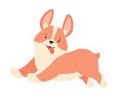 Welsh Corgi with Short Legs and Brown Coat Running Illustration vector