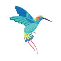Hummingbird with Bright Feathers Hovering Illustration vector