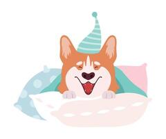 Welsh Corgi Sitting on Soft Pillows in Night Cap Illustration vector