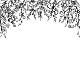 Monochrome sea buckthorn Horizontal rectangular border in linear style. Nordic berries realistic graphic sketch for wedding invitation, cosmetic packaging, menu design, book cover, stationery vector