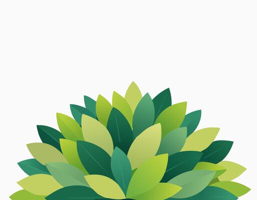 Minimal bush plant with various green leaves arranged in a neat round shape, clean white backdrop, modern flat look, room for text above, fresh spring nature vibe.