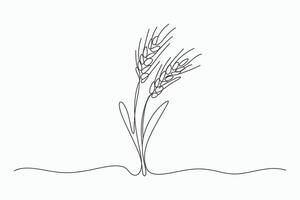 Single line drawing of wheat stalks vector