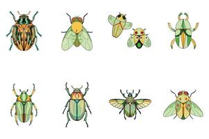 Insect Pattern Elements vector