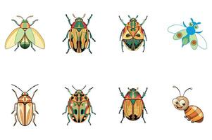 Decorative Bug Icons vector
