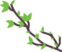 A tree branch with bunch of green leaf vector
