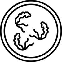 Mobiluncus curtisii Vaginal Flora Microbe vector