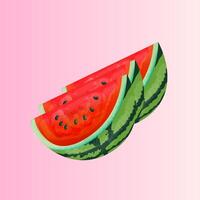 Three illustrated slices of watermelon are displayed vector