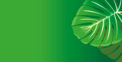 A lush, green leaf is displayed on the right side against a gradient green background vector