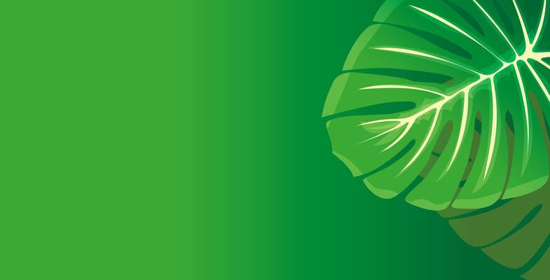 A lush, green leaf is displayed on the right side against a gradient green background
