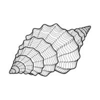 Minimalist line sketch of a sea shell with spiral detail. Ideal for beach-themed art, marine decor, coastal illustrations, and nature projects. vector