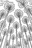Line drawing of a tall pine tree from a low angle view. Great for forest illustrations, outdoor designs, camping graphics, and educational materials. vector