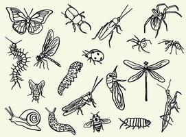 A set of hand-drawn insect illustrations in doodle or line art style. It includes various species, including butterflies, bees, beetles, and dragonflies. vector