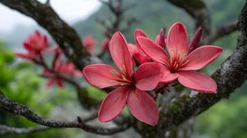 Ultra sharp flower photo with bright soft background blur and nature beauty