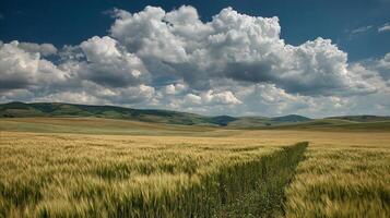 Bright summer background day with clear sky photo